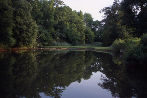 reflect