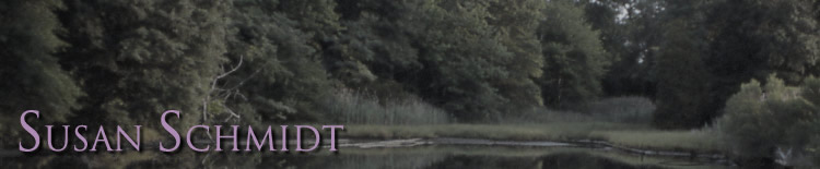 susanschmidt.net image header